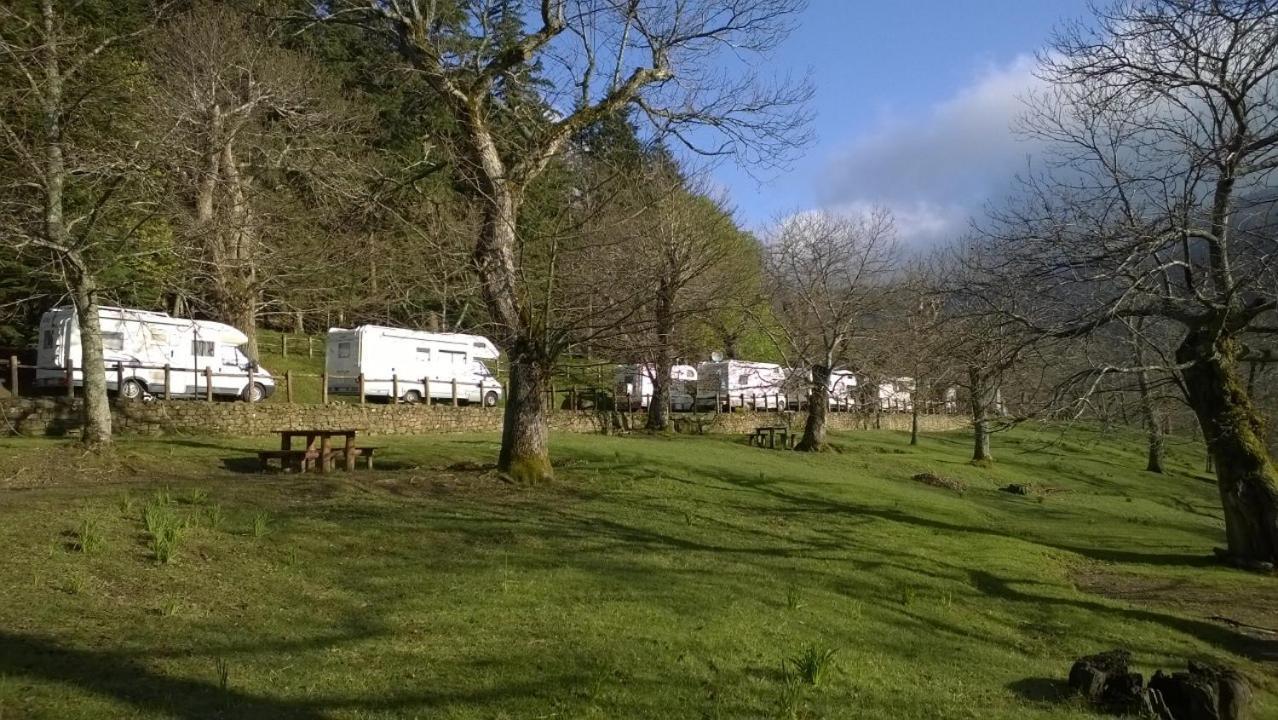 Camping Camaldoli Hotel Eksteriør billede